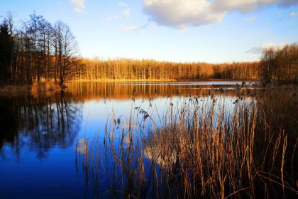 Fotografia przyrodnicza- kwarantanna-marzec 2020