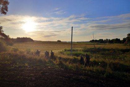 Pierwsze kaczki- grupa wschodnia- 15.08.2020