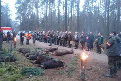 Polowanie zbiorowe Skorupki 06.01.2018