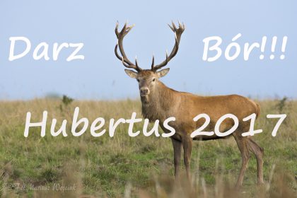 Hubertus 04.11.2017