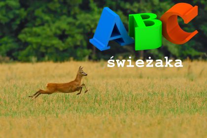 ABC świeżaka