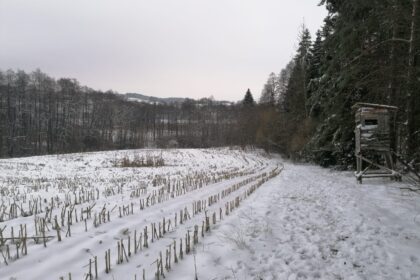 Polowanie zbiorowe- Pietrasze/ Gawlik Mały- 29.11.2025 r.